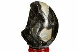 Septarian Dragon Egg Geode - Black Crystals #183159-1